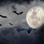 bats-moon
