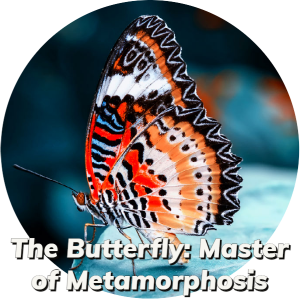 _THE BUTTERFLY_ MASTER OF METAMORPHOSIS-1 (2)
