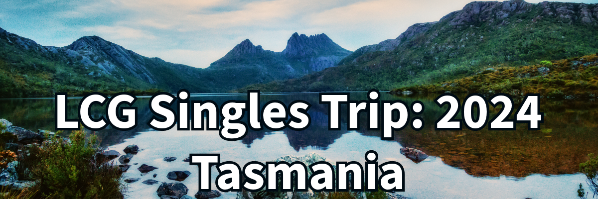 Singles Trip n
