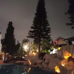 Barbeque 3