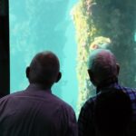 IMG_3761
