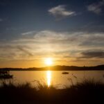 IMG_6781