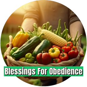 Blessings For Obedience (1)