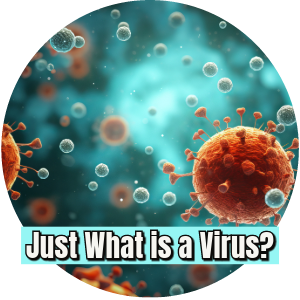 Just What is a Virus